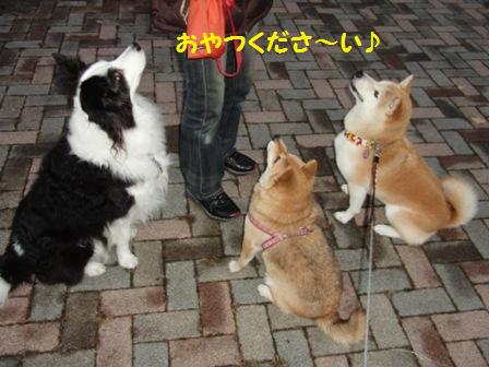 おやつ