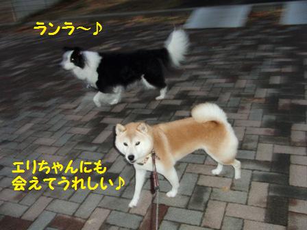 エリちゃん