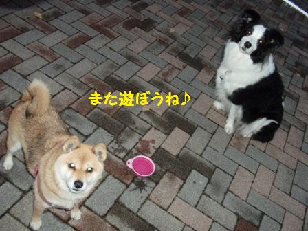 また遊ぼうね