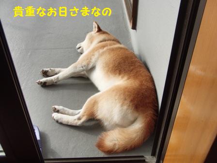 お日さま