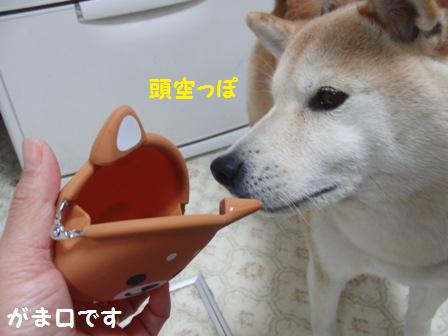 がま口