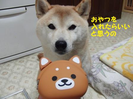おやつ入れ