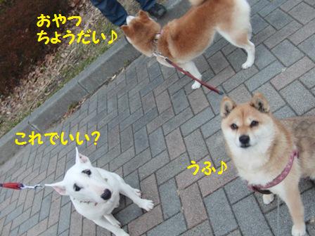 こっちむいて