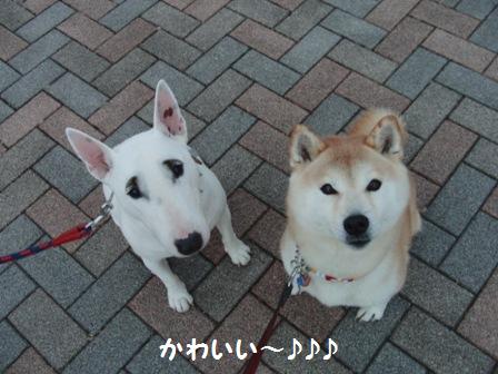 ツーショット