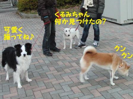 クンクン