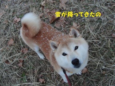 雪