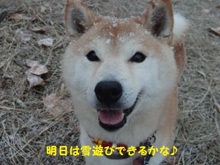 できるかな