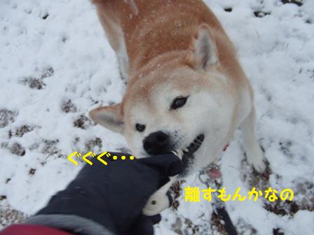 離すもんか