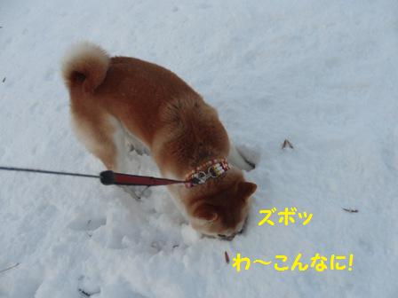 こんなに