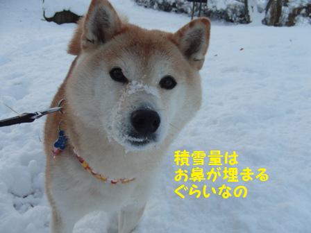 積雪