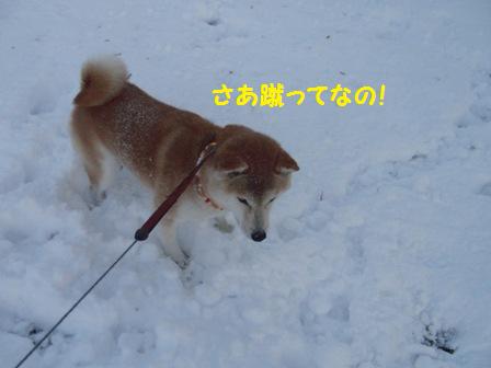 蹴って