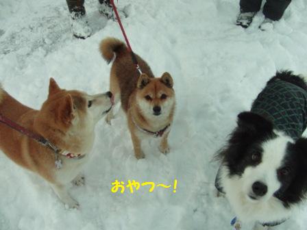 おやつ
