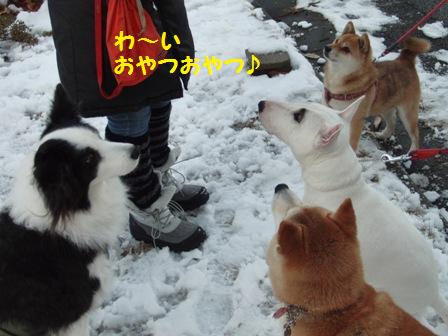 おやつ