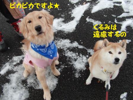 ピカピカ
