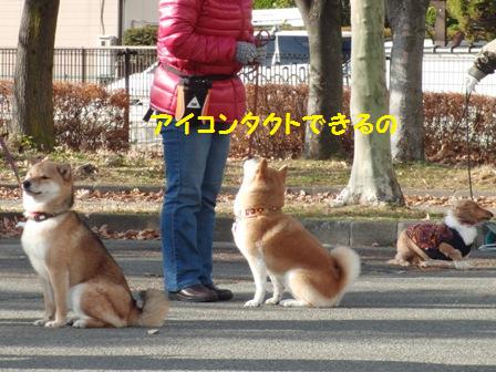 アイコンタクト