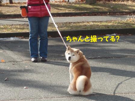 ちゃんと撮ってる?