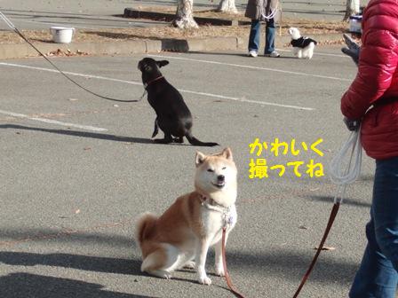 かわいく撮ってね