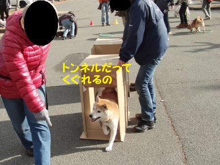 トンネル