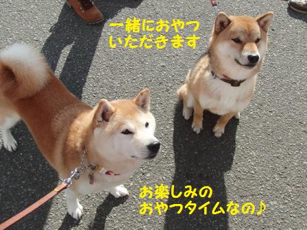おやつタイム