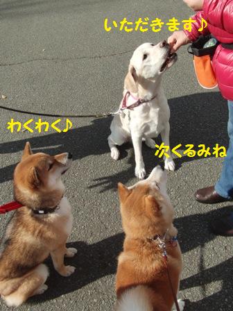 順番