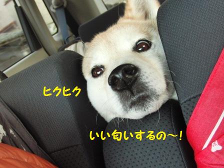 ヒクヒク