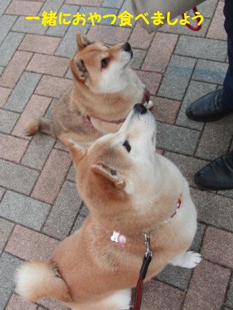 一緒に