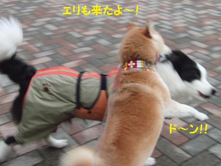 来たよ