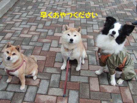 早く