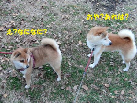 あれは?
