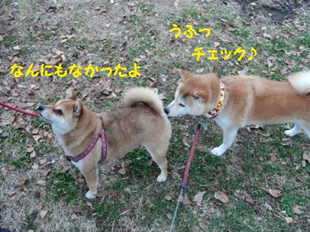 チェック