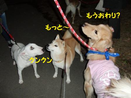 おわり?