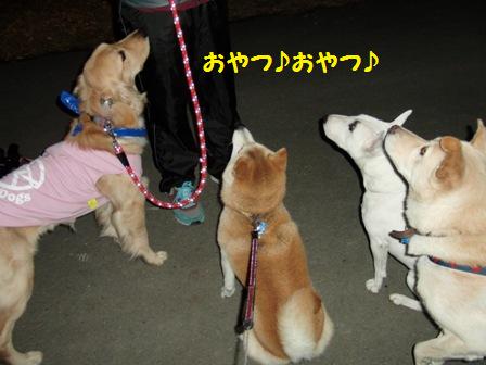 おやつ