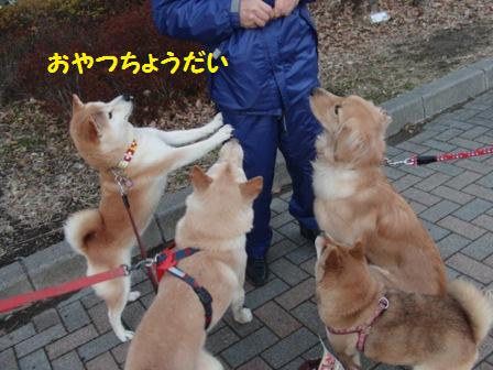 おやつ
