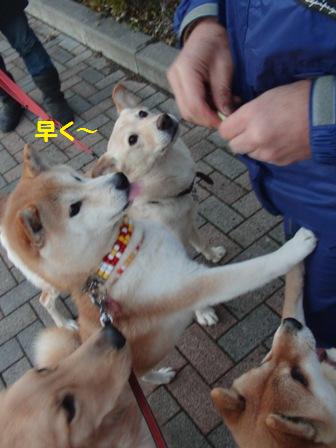 早く