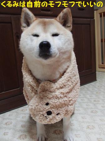 モフモフ