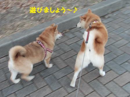 遊びましょう