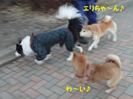 わ~い