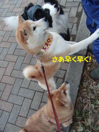 早く