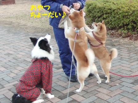 おやつ納め