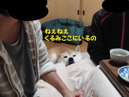 ここにいるの
