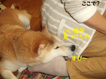 見つけた