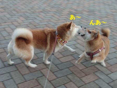 あ~