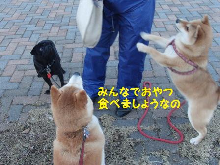 みんなで