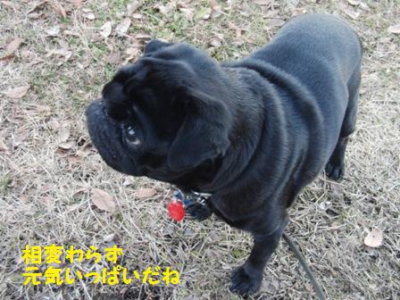 ふくちゃん