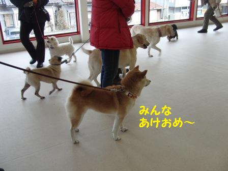 あけおめ