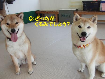 どっち?
