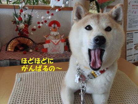 ほどほど