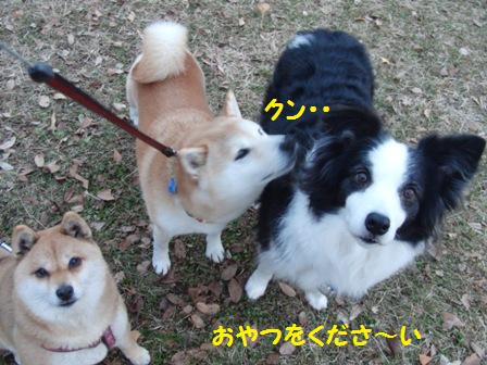 おやつ
