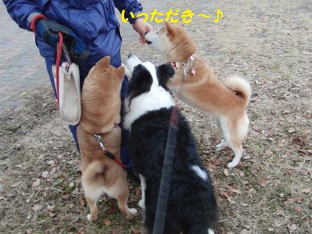 いただき
