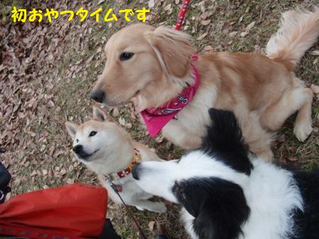 初おやつ
